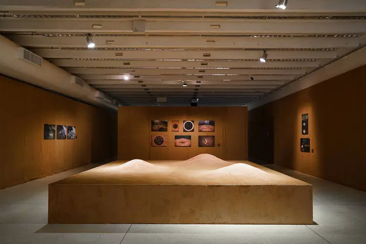 Exposição de Sonia Dias Souza será tema da programação online do MON