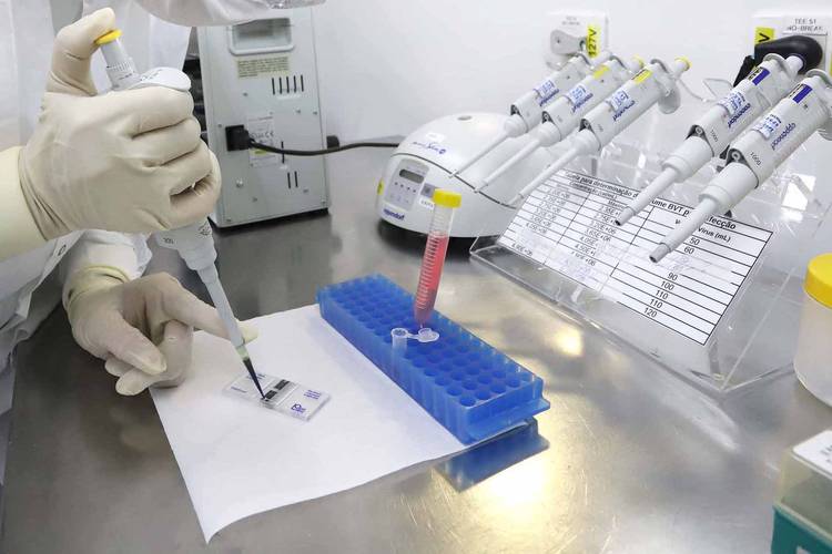 UEM abre inscrições para o 5° Simpósio Nacional de Biotecnologia Ambiental
