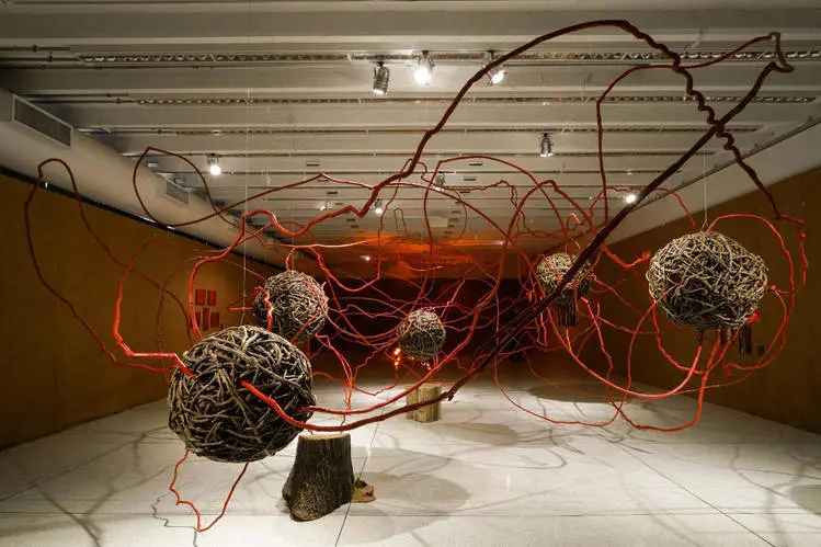 Exposição de Sonia Dias Souza no MON está na última semana