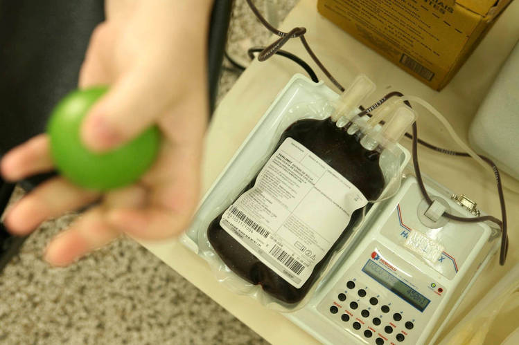 Cursos da Saúde da UEM promovem campanha de doação de sangue ao Hemocentro