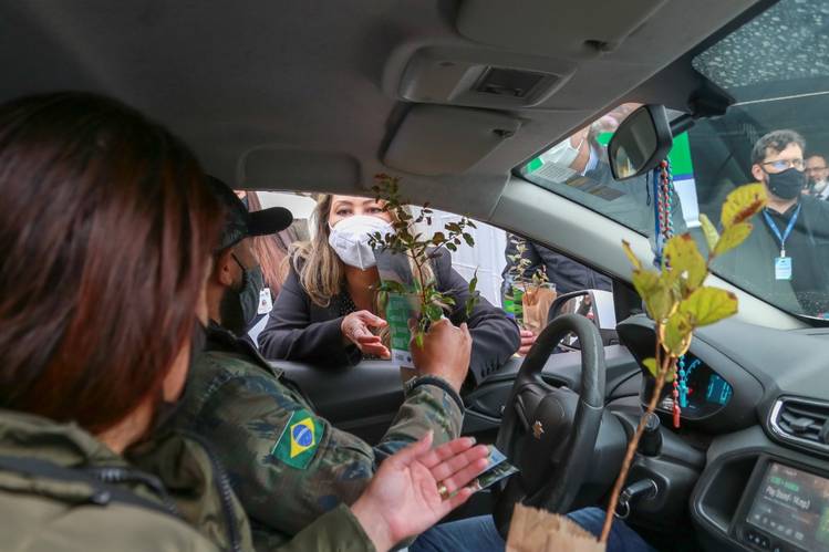 Campanha Floresce Paraná distribui 7 mil mudas e passa a integrar programa ambiental