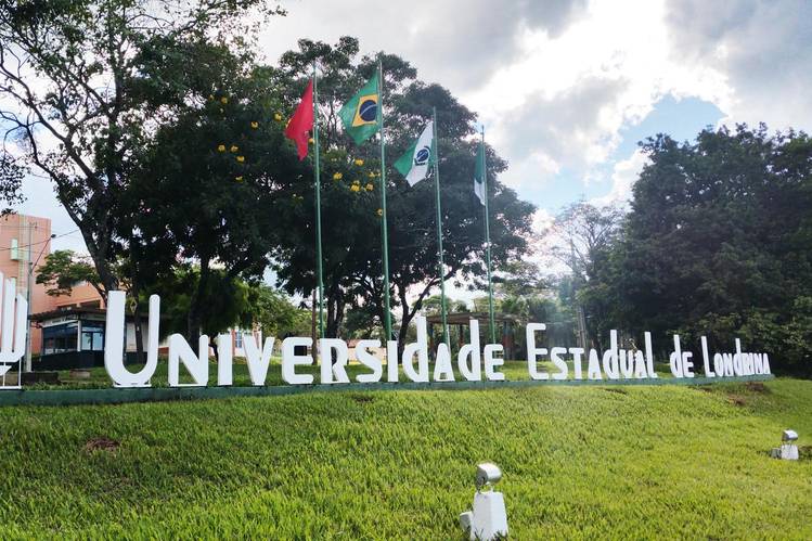 Universidades estaduais paranaenses ganham destaque em ranking internacional