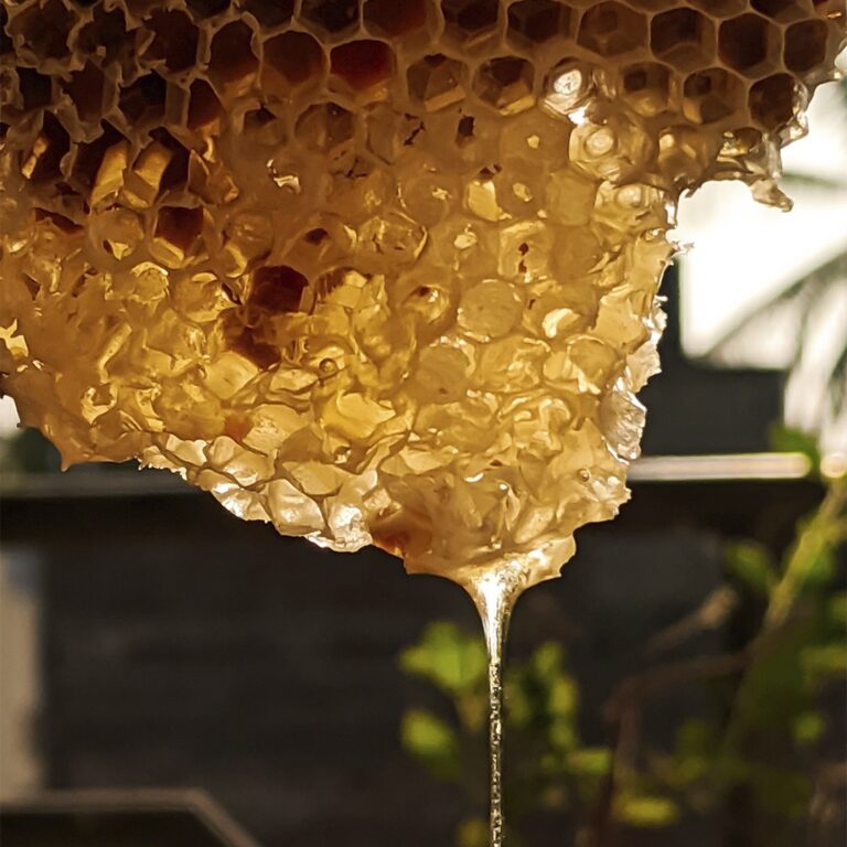IMA lança campanha de regularização de mel e derivados