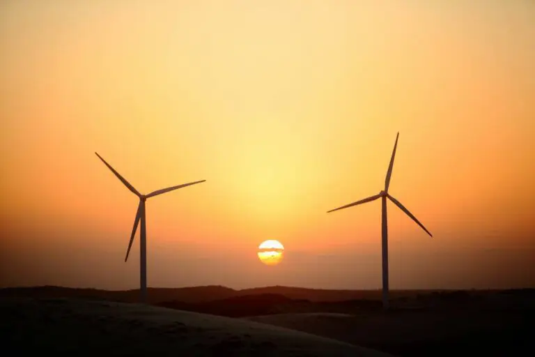 Governo do Ceará fortalece a economia sustentável com a instituição da Política Estadual de Negócios de Impacto
