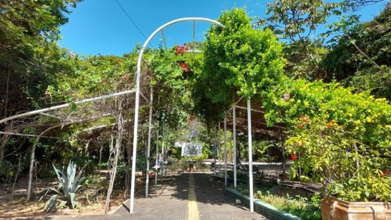 Parque Estadual Botânico celebra 25 anos de serviços ambientais