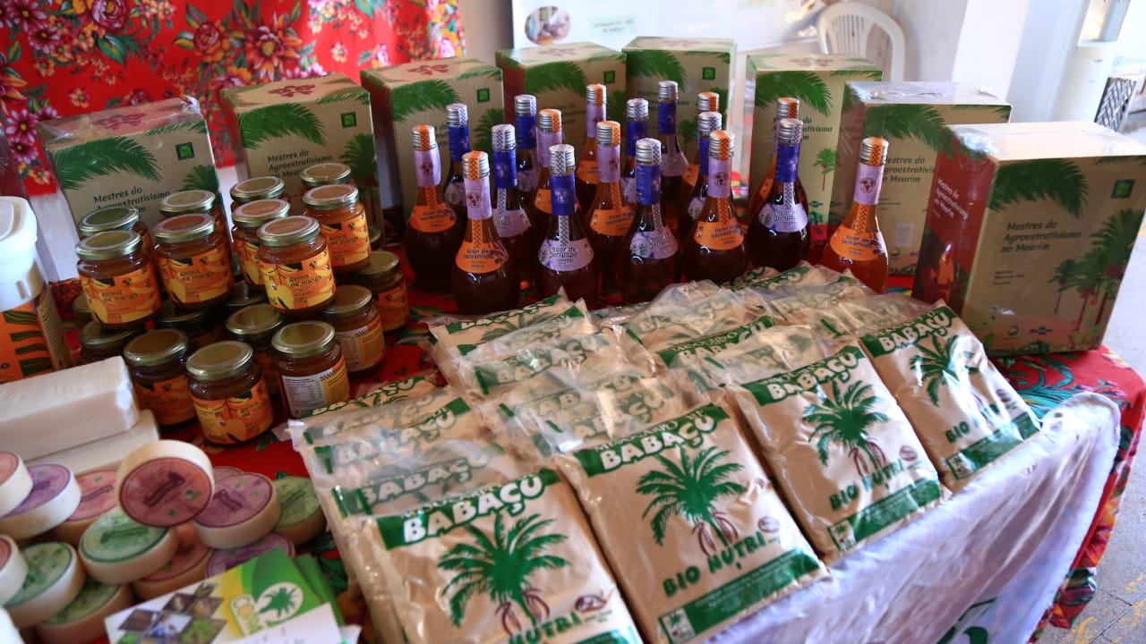 Produtos beneficiados do babaçu (Foto: Divulgação)