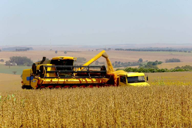 Clima irregular atrasa o plantio da soja no Paraná, aponta boletim