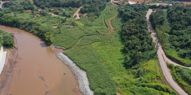 Animais silvestres estão retornando à região de Brumadinho