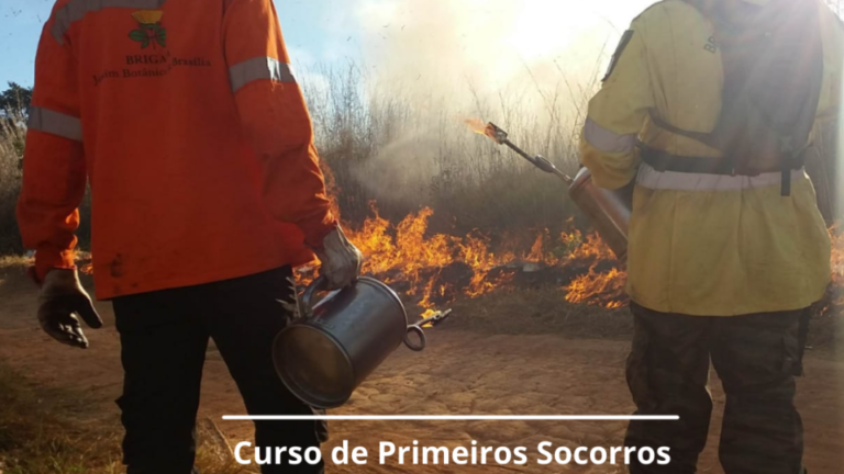 Curso de primeiros socorros para brigadistas