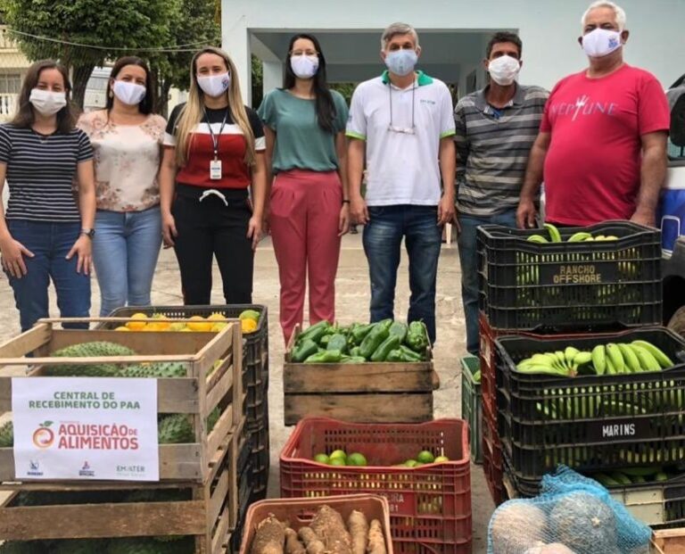 Agricultura familiar abastece pessoas em situação de vulnerabilidade social na Zona da Mata