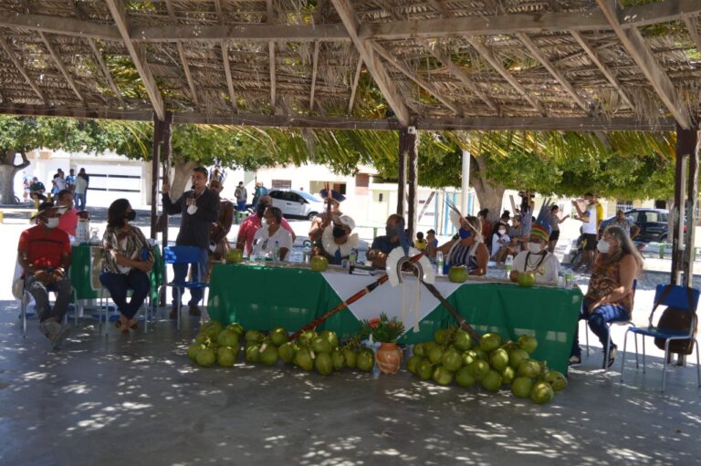 Comunidade Indígena Tuxá se prepara para lançar óleo de coco no mercado