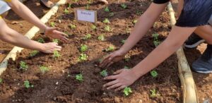 Emater-DF implanta horta pedagógica no Adolescentro de Brasília