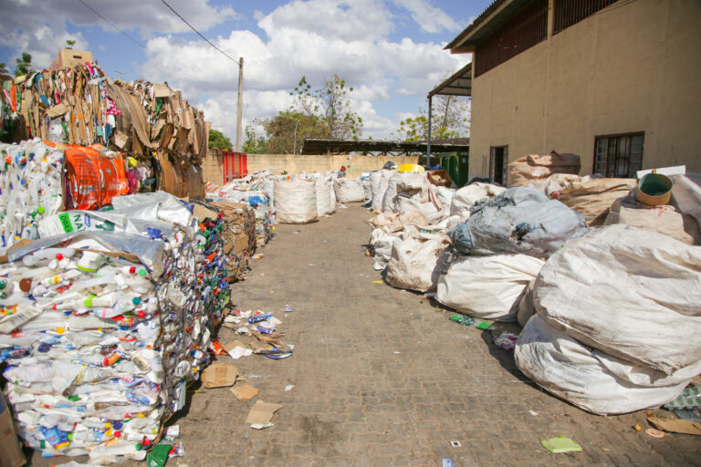 Estimulo à reciclagem garante emprego nas cidades do DF