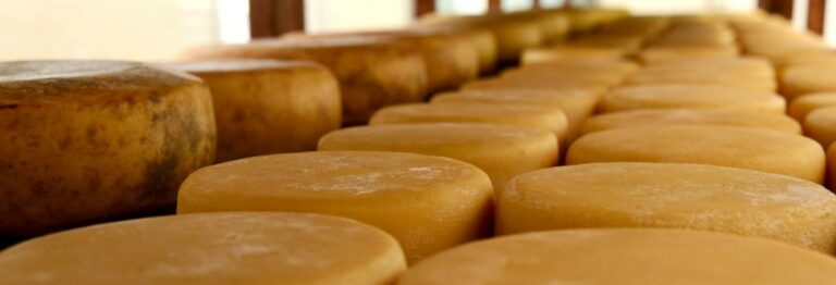 Minas será sede de concurso internacional de queijos