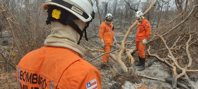 Operação Bahia Sem Fogo mantém esforços no combate aos incêndios em toda a Bahia