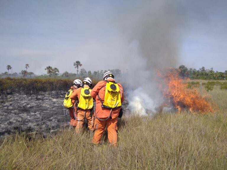 Aeronaves do Governo do Estado reforçam combate aos incêndios florestais na Bahia