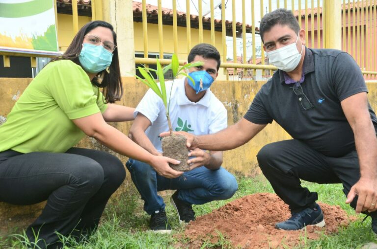 Fotos: Dia da Árvore é celebrado com ações nos 217 municípios do MA