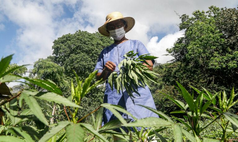Governo do Estado destina mais de R$ 3 milhões para compra de produtos da agricultura familiar