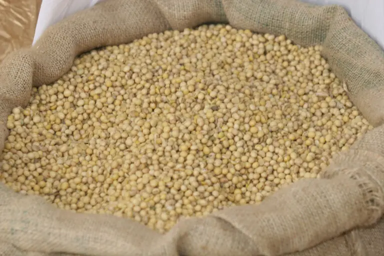 São Desidério e Formosa do Rio Preto estão entre as cinco maiores cidades da agricultura brasileira