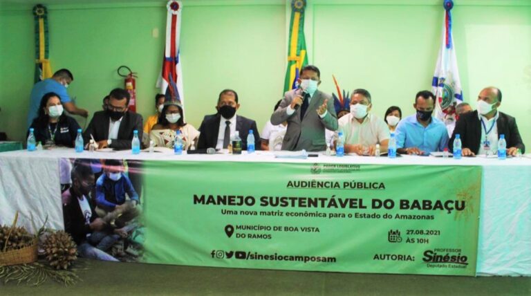 Maranhão é destaque em audiência pública sobre manejo sustentável do babaçu no Amazonas