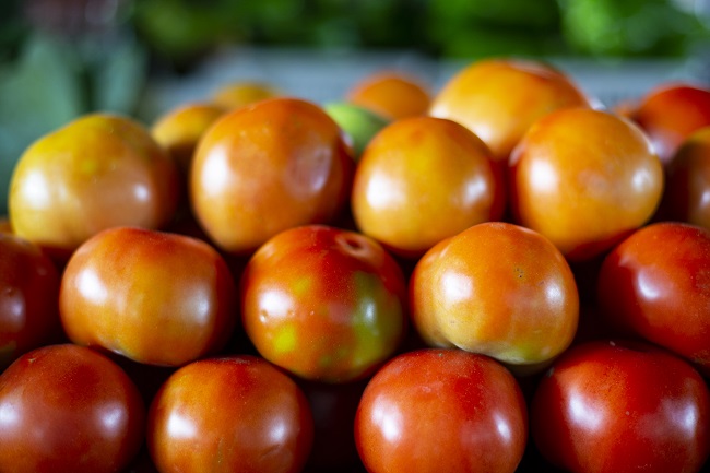 Preço do tomate cajá cai 56,3% na Ceasa Cariri