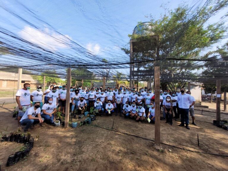 SEMA realiza capacitação sobre coleta e armazenamento de sementes a participantes do Programa Maranhão Verde – Pró-Campos