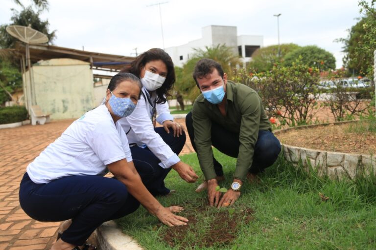 Sagrima celebra o Dia da Árvore com ações de conscientização e plantio de mudas em oito municípios do Maranhão
