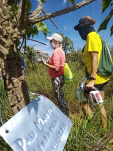 Semana do Cerrado terá atividades educativas em trilhas