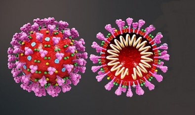 Técnica usada na Unifesp permite sequenciar o genoma do novo coronavírus com resolução