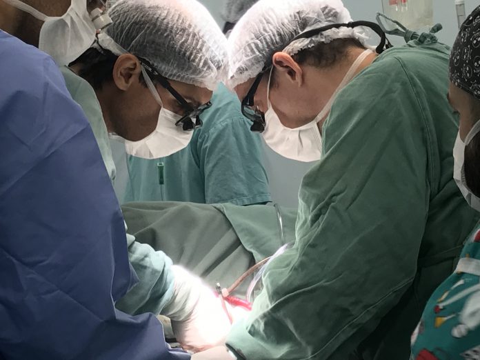 Transplantes aumentam 52% em SP no segundo ano da pandemia