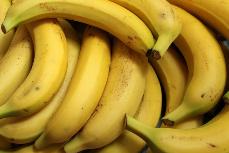 Secretaria de Estado de Agricultura trabalha no fortalecimento da cultura da banana