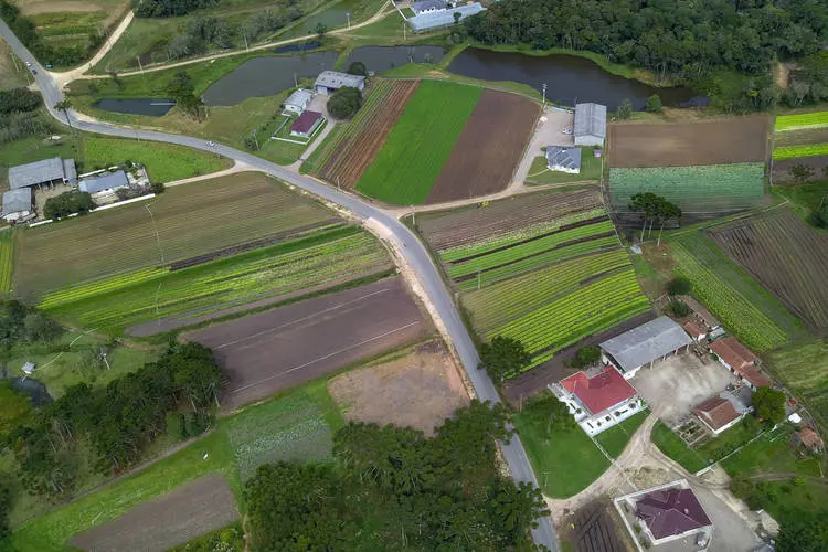 Secretaria da Agricultura publica resultado do edital do Coopera Paraná
