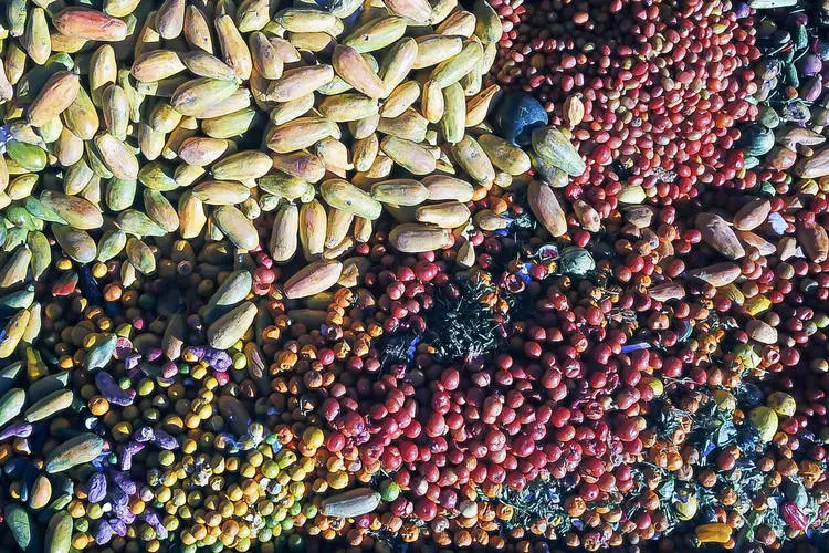 Paraná firma parceria com a Suécia para enfrentamento do desperdício de alimentos