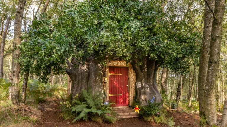 Casa da árvore do Ursinho Pooh pode ser alugada no Reino Unido; veja fotos