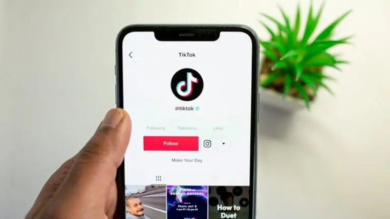 TikTok no Brasil vai facilitar que criadores de conteúdo recebam patrocínio