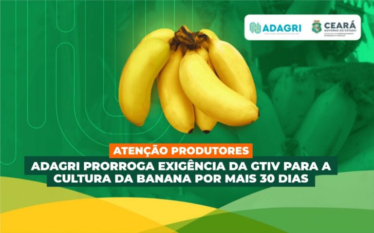 Adagri prorroga exigência da GTIV para a cultura da banana por mais 30 dias