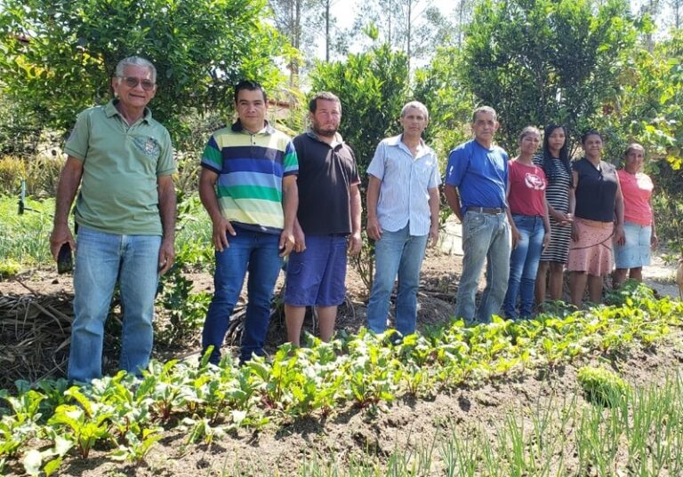 Agricultores familiares do Vale do Jequitinhonha obtêm reconhecimento nacional de produção orgânica