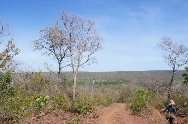 Audiência Pública do ZEE Bioma Cerrado e Sistema Costeiro será realizada em Barreirinhas
