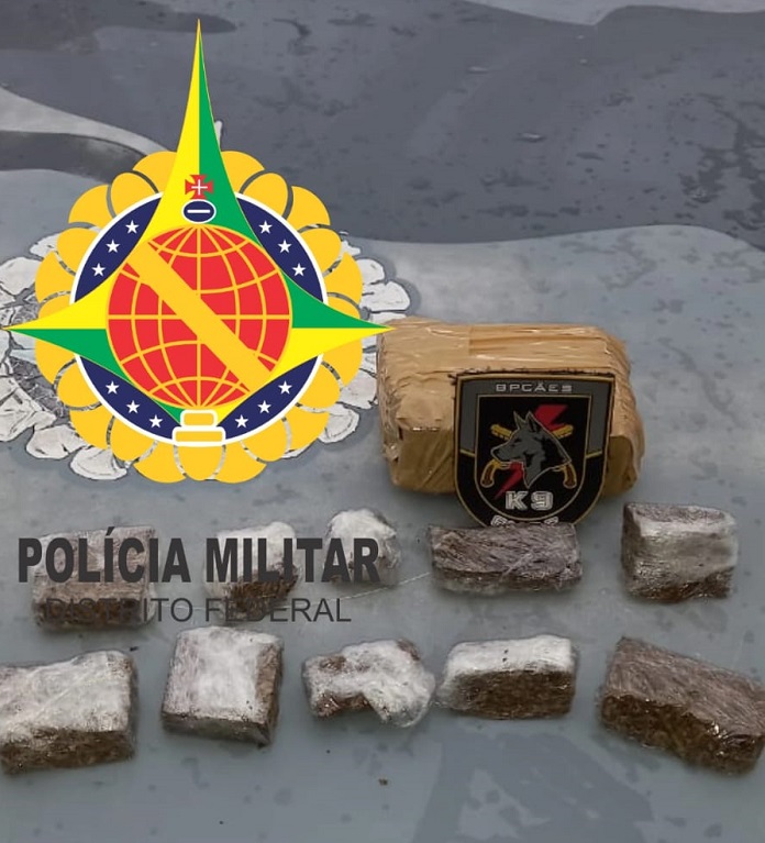 Cadela Shadow da Polícia Militar localiza drogas no Campo Sintético da Estrutural