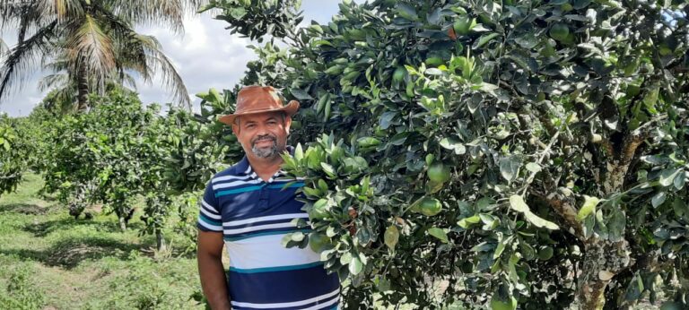 Comunidade rural de Rio Real comemora colheita de laranja com aumento de 70% na produção