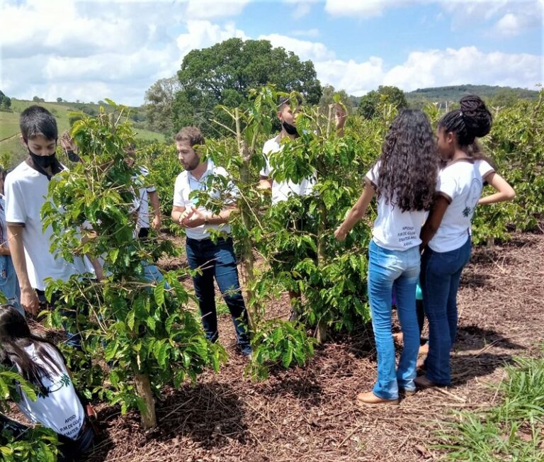 Emater-MG estreia capacitação em cafeicultura para jovens rurais