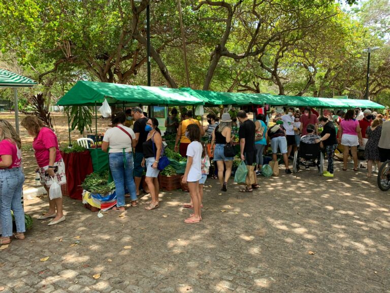 Feira Agroecológica acontece neste sábado (23) na área Adahil Barreto do Cocó
