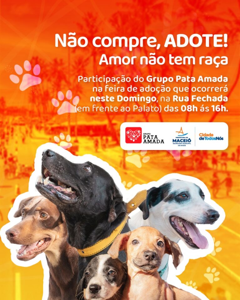 Feira de Adoção de animais volta à Rua Aberta neste domingo (31)