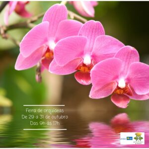 Jardim Botânico promove 2ª Feira de Orquídeas de 2021