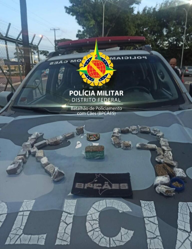PMDF apreende drogas espalhadas nas ruas de Ceilândia