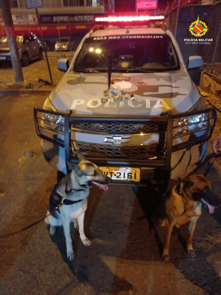 PMDF usa cães farejadores para encontrar drogas em Taguatinga