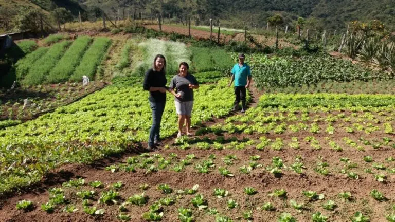 Governo do Estado celebra Dia Internacional da Mulher Rural