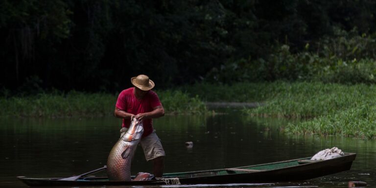 Exposição na COP26 volta olhar sobre povos que habitam a Amazônia