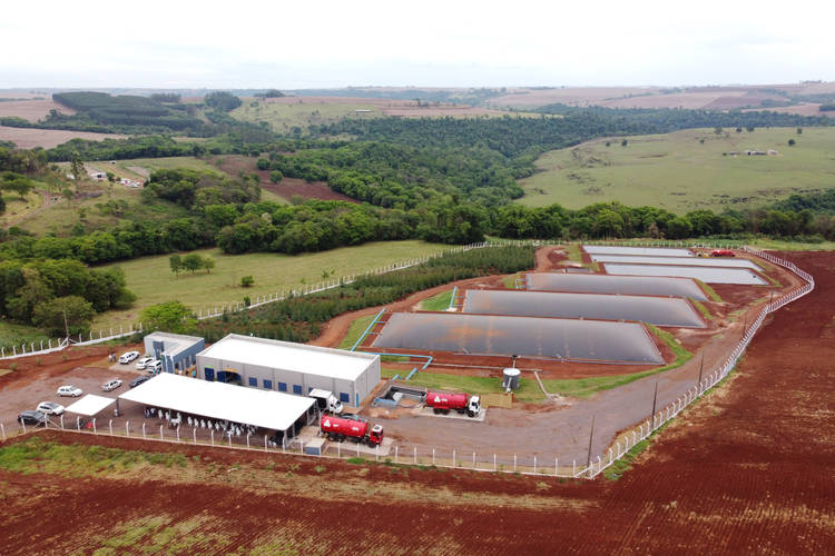 Paraná investe em programas e ações para tonar o setor agropecuário cada vez mais sustentável