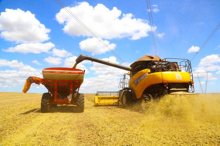 Paraná deverá produzir 25,37 milhões de toneladas de grãos na safra de verão